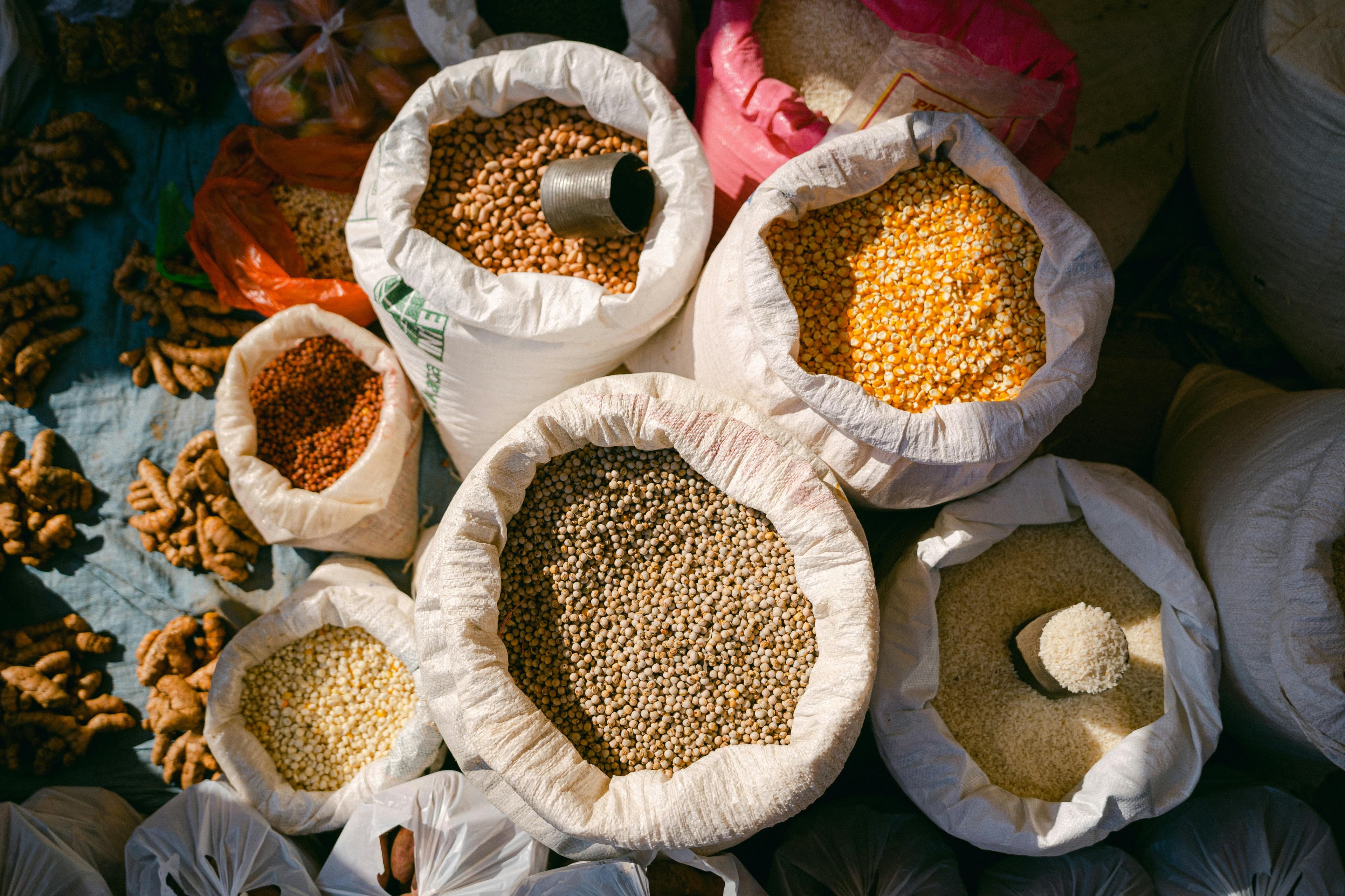 Grains & Pulses